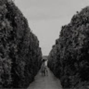 Meet your Posher, Bri